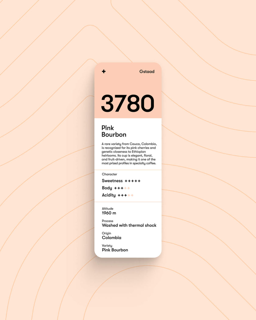 3780 Gstaad Pink Bourbon Washed