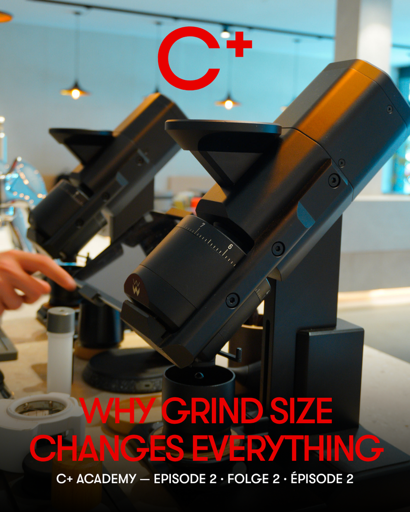 Why Grind Size Changes Everything