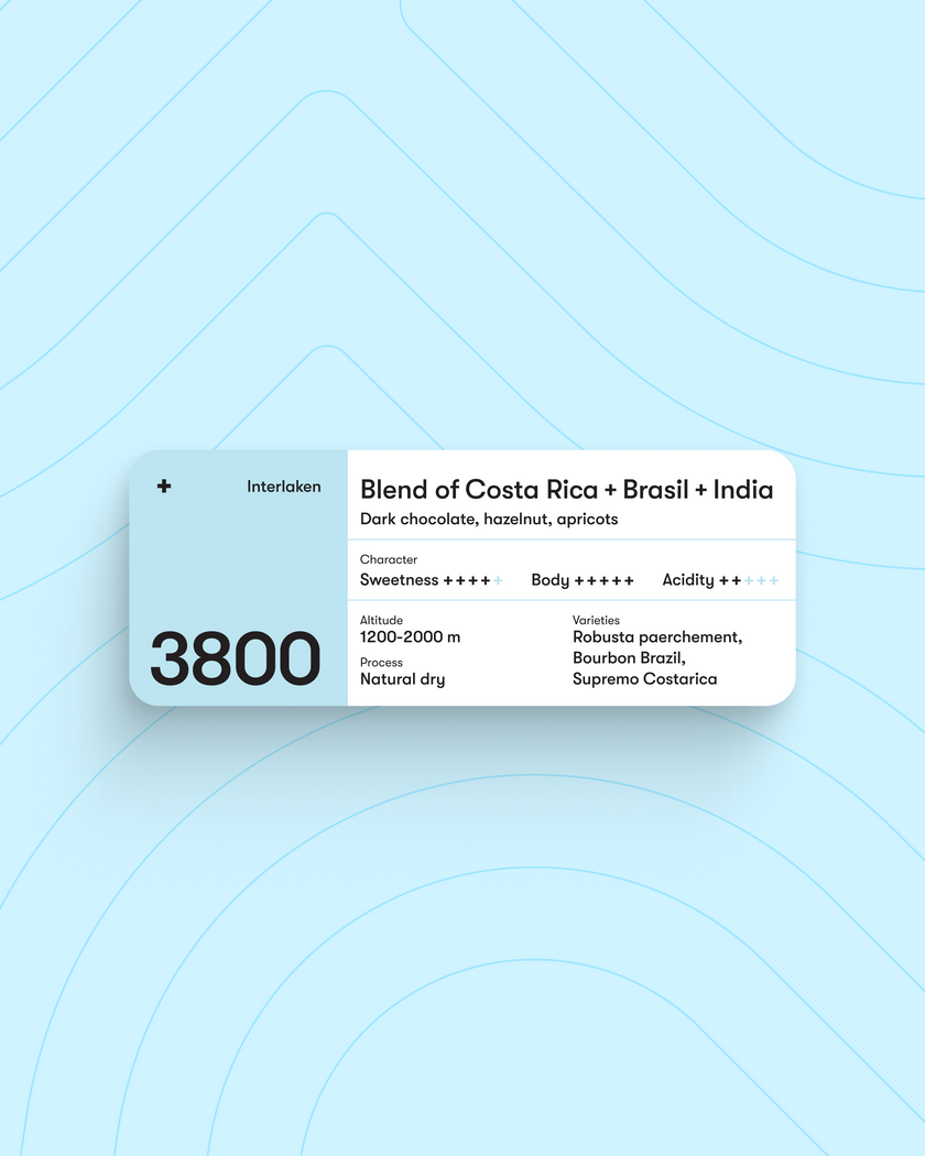 3800 Interlaken House blend