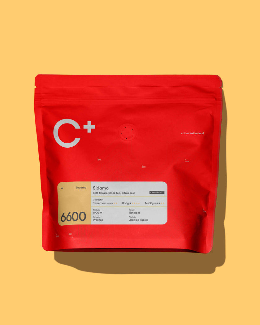 6600 Locarno Ethiopia Sidamo