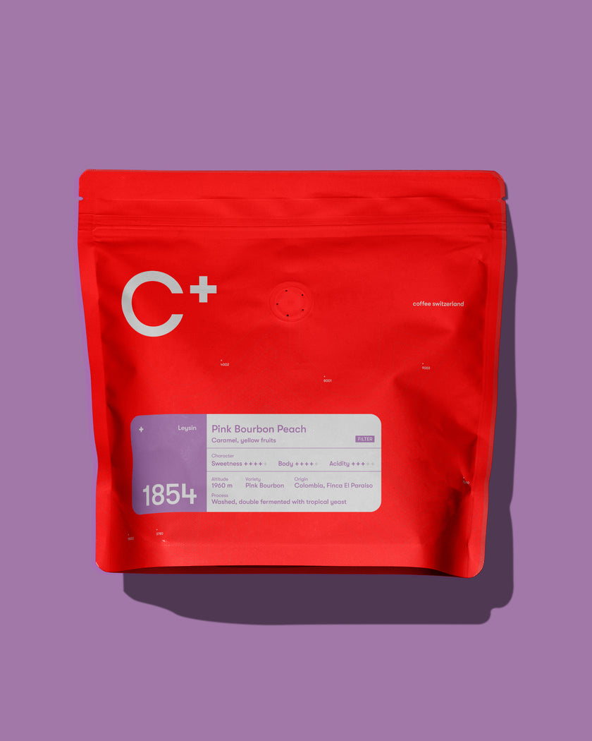 1854 Leysin Pink Bourbon Peach