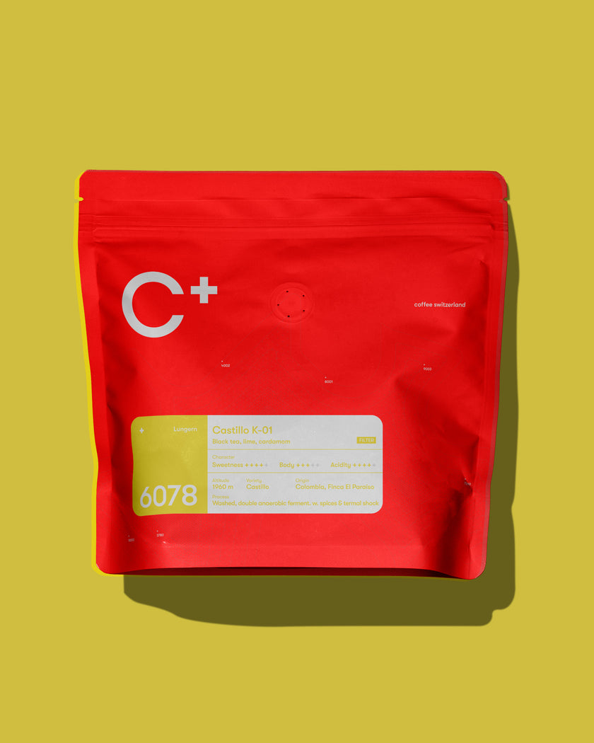 6078 Lungern Castillo K-01