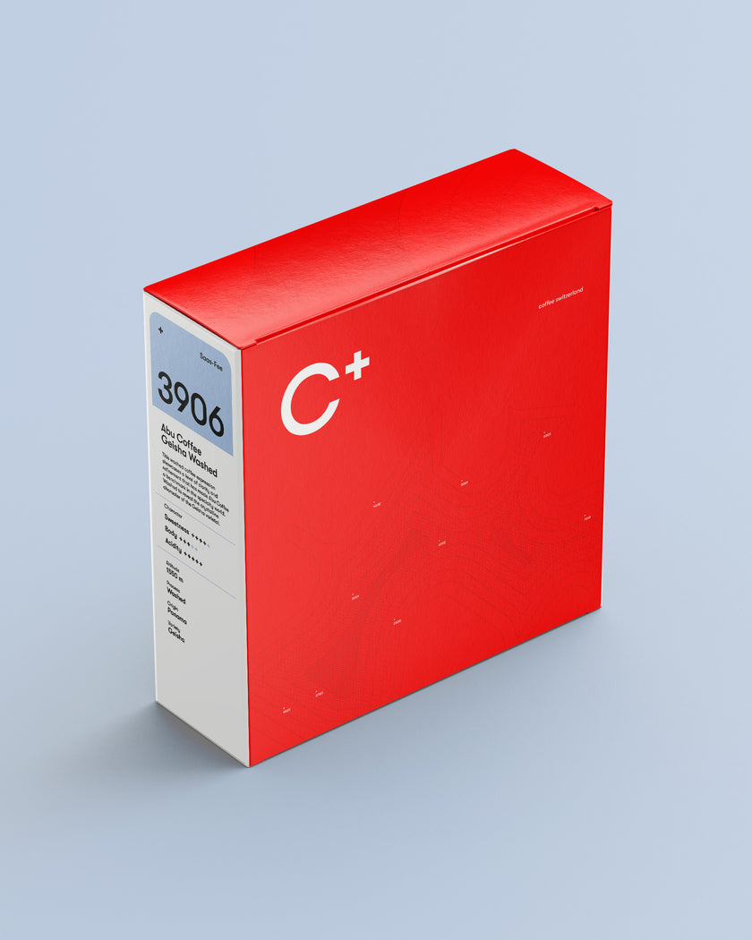 3906 Saas-Fee GEISHA