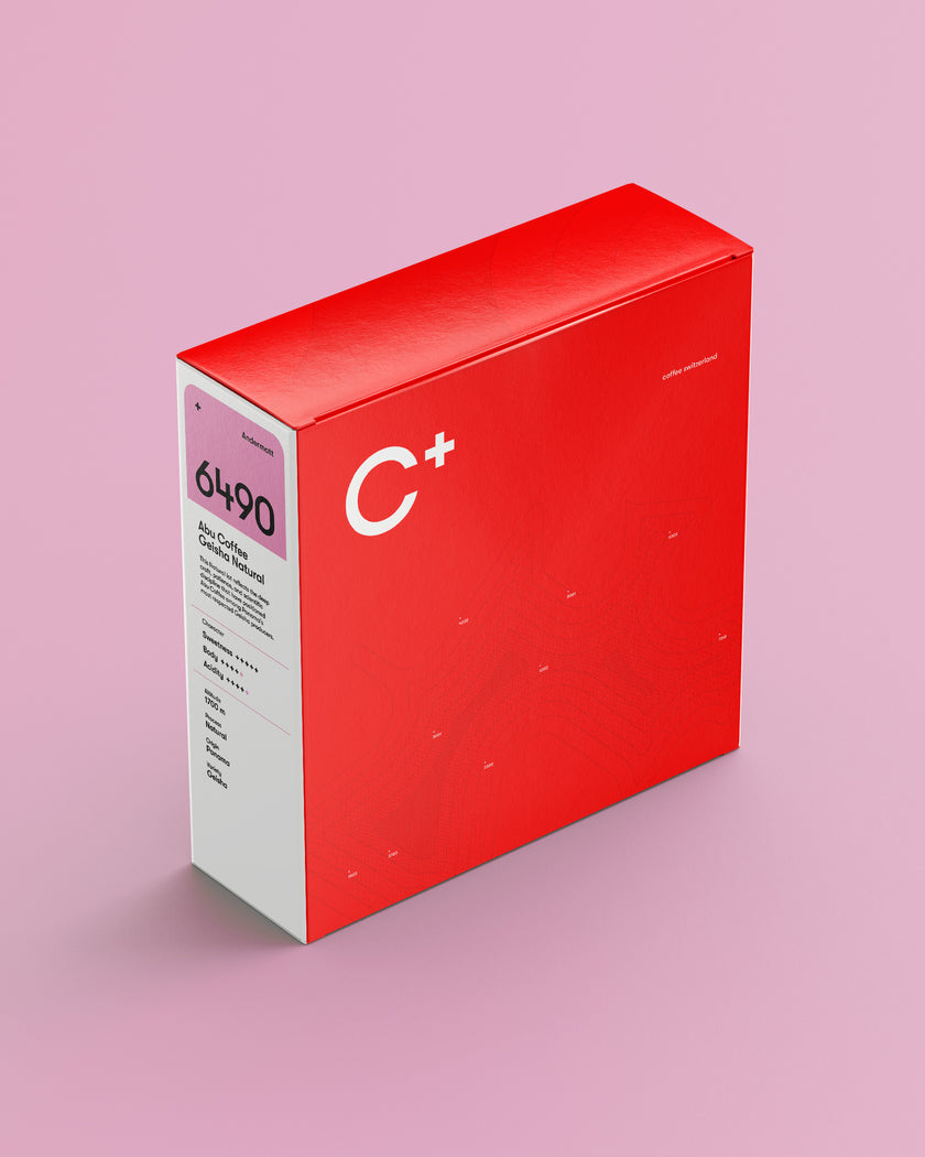 6490 Andermatt GEISHA NATURAL