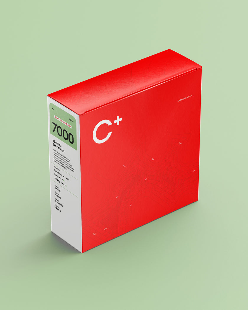 7000 Chur Geisha Napoleón