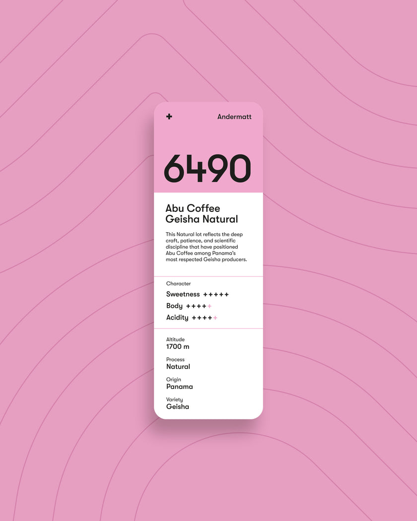 6490 Andermatt GEISHA NATURAL