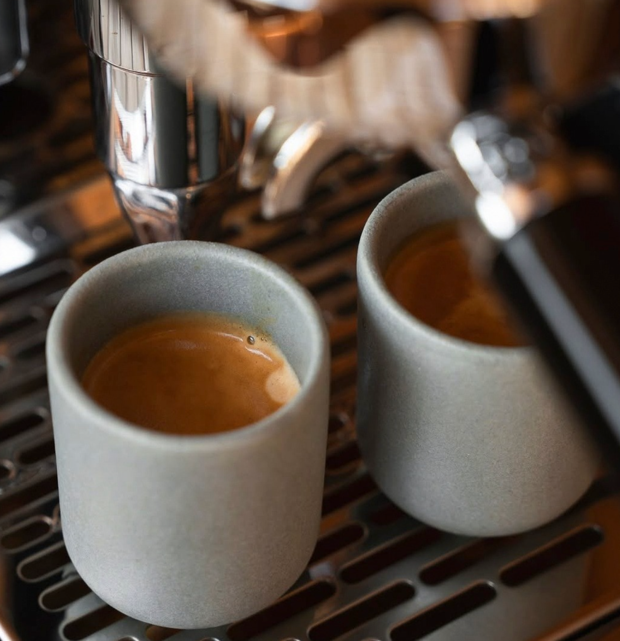 Americano C+ Extraktion